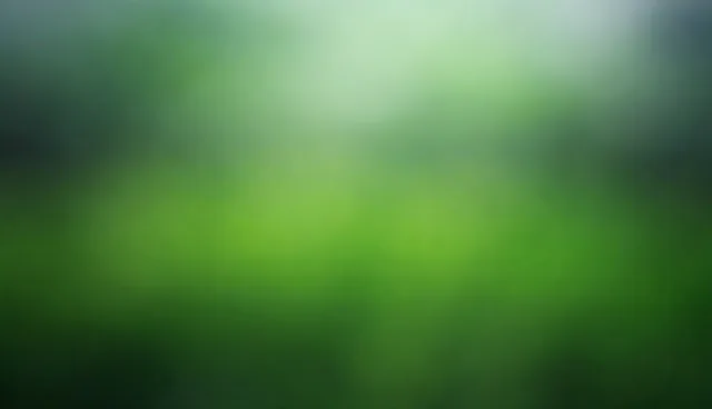 企业管理咨询适用条件与选择依据分析