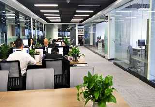 森鹰经典铝包木窗购买