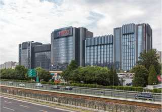 平湖灭跳蚤哪家好