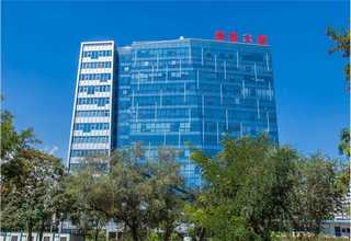 日照白松建筑木方