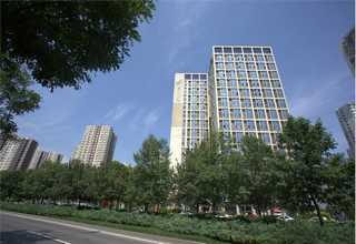 胚料用马铃薯颗粒全粉生产厂家